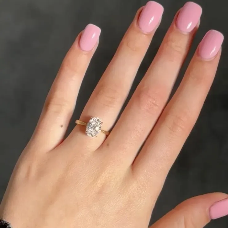 GUIDE FOR THE LAST-MINUTE PROPOSAL OR RESIZING ADVENTURE